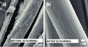 Fibre before and after scouring