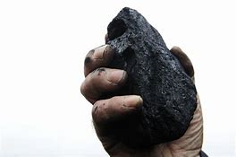 Pet coke